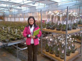 Joyce Counting Inventory